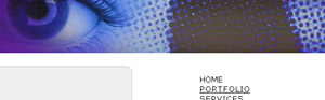 Web Design Profile in 2004