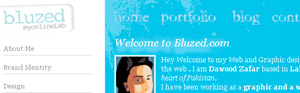 Web Design Profile in 2008