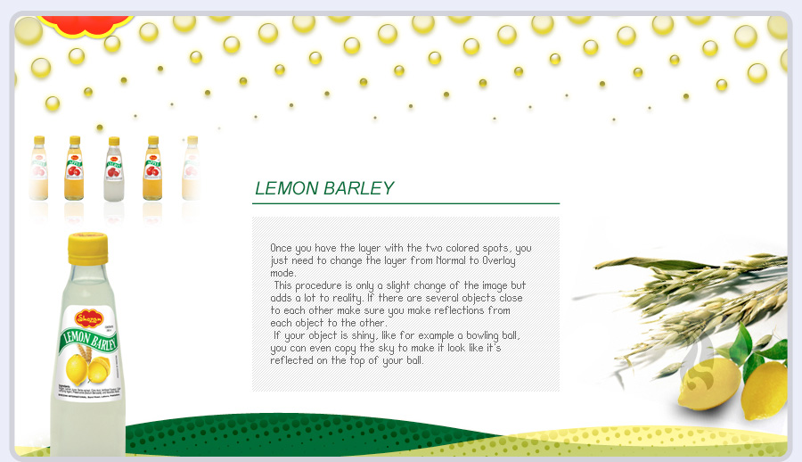 nr bottles web design